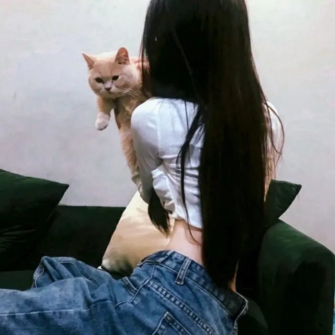 战略迷魂